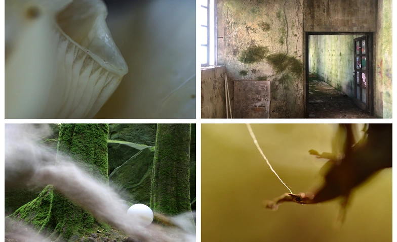 Event-Image for 'Natur: ..., because nothing lasts forever'