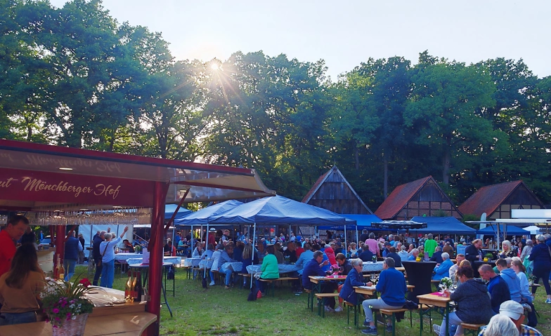 Event-Image for 'Weinfest Steinhude'
