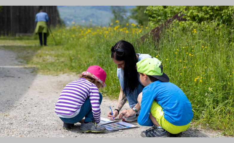 Event-Image for 'Tag der offenen Schollenm&uuml;hle'