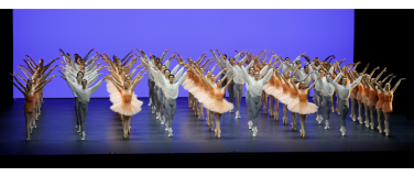 Event-Image for 'taZ &ndash; Curtain Up!'