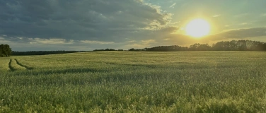 Event-Image for 'The Field'