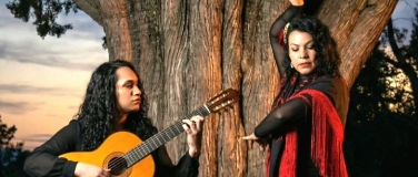 Event-Image for 'Gipsy Flamenco in Mediterranem Flair'