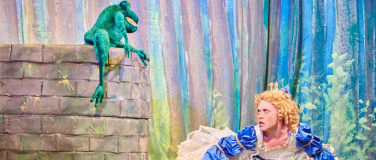 Event-Image for 'The Frog Prince'