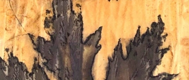 Event-Image for 'Ecoprint auf Papier - im Rostwasser gekocht'