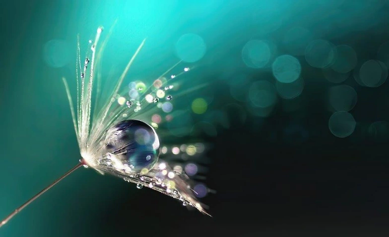 Dein SEIN Retreat &ndash; Akasha Chronik Tickets