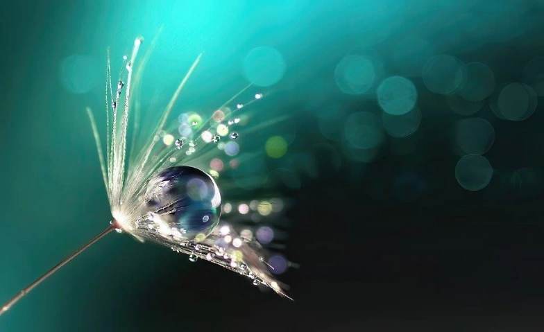 Dein SEIN Retreat &ndash; Akasha Chronik Tickets