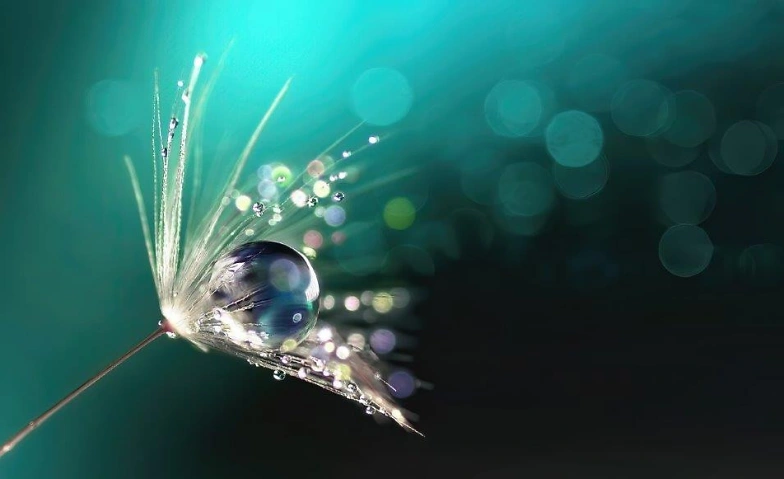 Dein SEIN Retreat &ndash; Akasha Chronik im Tirol Tickets