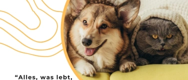 Event-Image for 'Gottesdienst mit Tieren'
