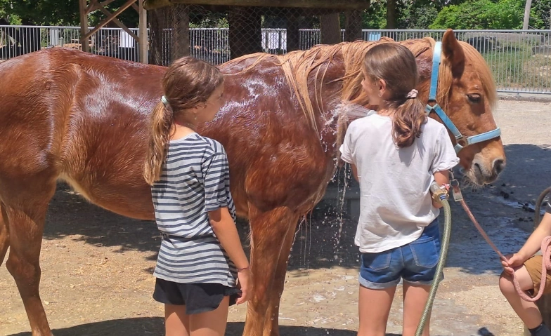 Tierpflegewoche (Kursnr. 1.8e) Tickets