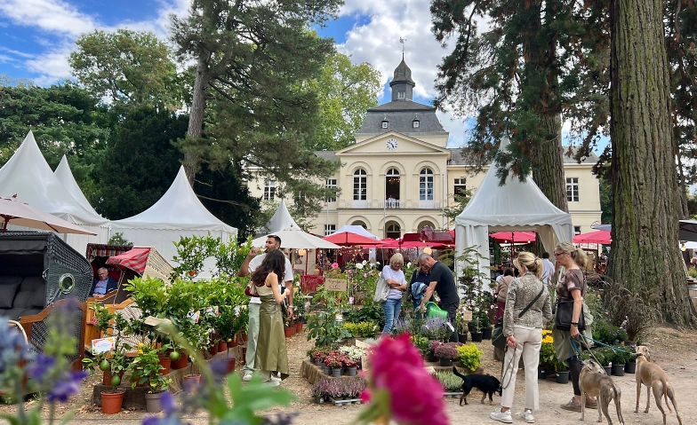 Event-Image for 'Herbstfestival Schloss Eller'