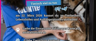 Event-Image for 'Bundesweiter Hilfstag in Tierschutzeinrichtungen'