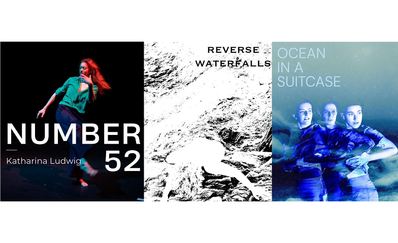 NUMBER 52 / REVERSE WATERFALLS / OCEAN IN A SUITCASE Billets