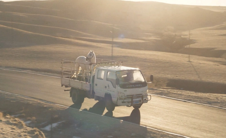 To Kill a Mongolian Horse Billets