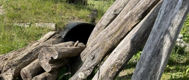 Event-Image for 'Workshop: «Insekten rund ums Haus fördern»'