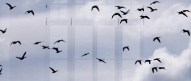 Event-Image for 'TO TOUCH THE SKY - DEN HIMMEL BER&Uuml;HREN'