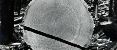 Event-Image for 'Sonic Boom &ndash; Stefano Grasso'