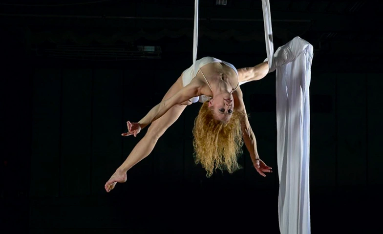 Event-Image for 'Z&Uuml;RICH TANZT: Crashkurse'