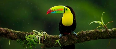 Event-Image for 'Rendez-vous mit der Welt:  Von Mexiko nach Panama'