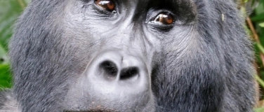 Event-Image for 'Im Herzen Afrikas'