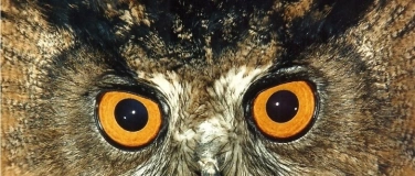 Event-Image for 'Mit offenen Augen durch die Natur'