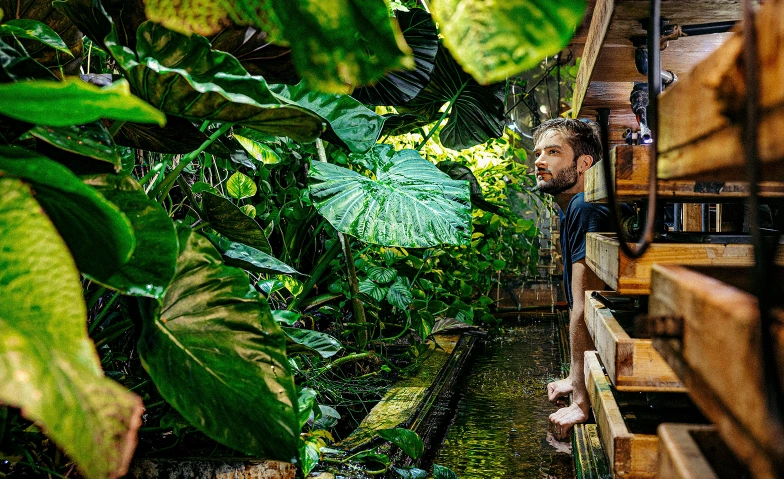 Biosphere Farm F&uuml;hrung UMAMI Biosphere Farm Tickets