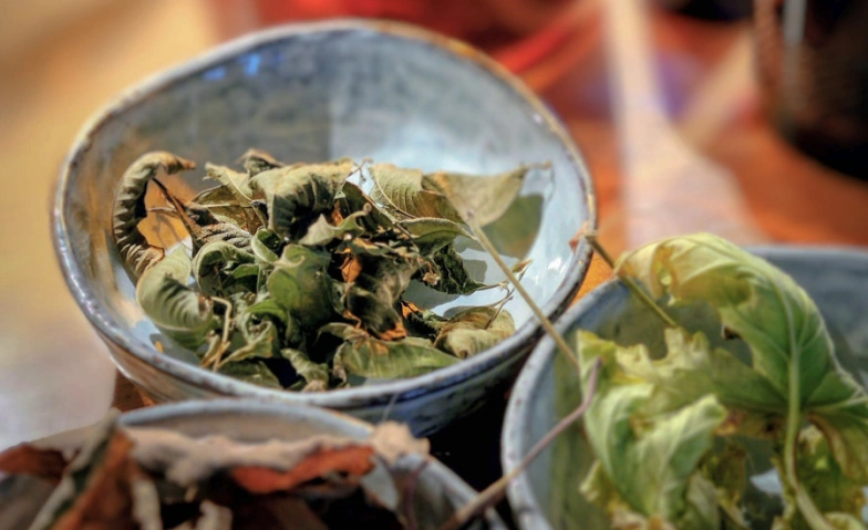 Event-Image for 'Zwischen M&ouml;rser und Rezept'