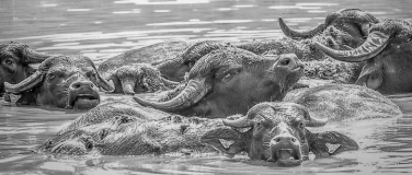 Event-Image for 'Kunstsalon zur Ausstellungser&ouml;ffnung "Mal anders gesehen"'