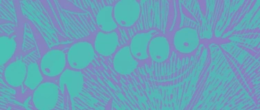 Event-Image for 'SOMMERNACHTSTRAUM - Matin&eacute;e'