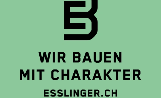 Sponsoring logo of Zumbathon Charity Event Zurich event