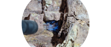 Event-Image for 'Art of revealing bones'