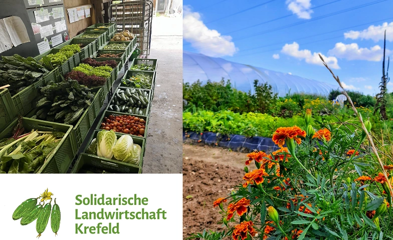 Event-Image for 'Infoveranstaltung der Solidarischen Landwirtschaft Krefeld'