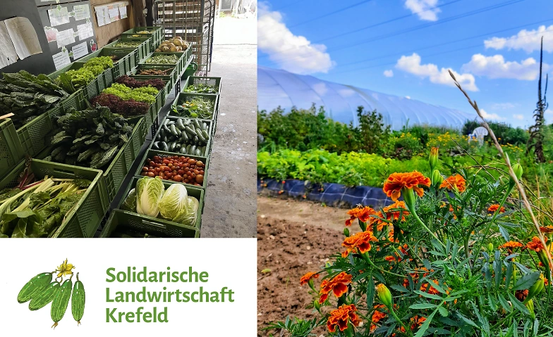 Event-Image for 'Öffentliche Ackerführung der Solidarischen Landwirtschaft KR'