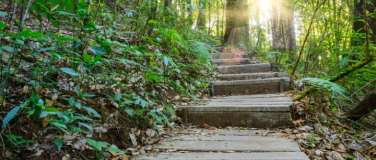Event-Image for 'Gesundheit im Keller? Wo ist die Treppe..?'