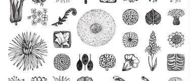 Event-Image for 'Jeder kann zeichnen lernen &ndash; Naturmotive entdecken'