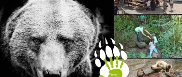 Event-Image for 'Ursus Art &ndash; Sommerfest des (Kunst)Handwerks'