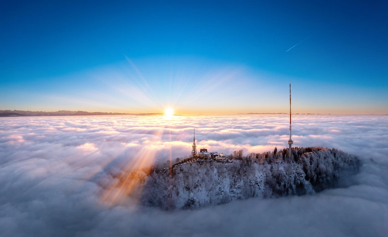 Bewegung &amp; Genuss auf dem Uetliberg in Z&uuml;rich Billets