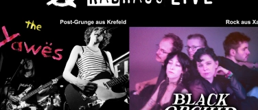 Event-Image for '26.04.24 : Radhaus live mit „Black Orchid“ + „The Yawës"'