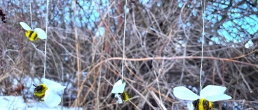 Event-Image for 'Summende Fr&uuml;hlingsboten aus Erlen-Zapfen'