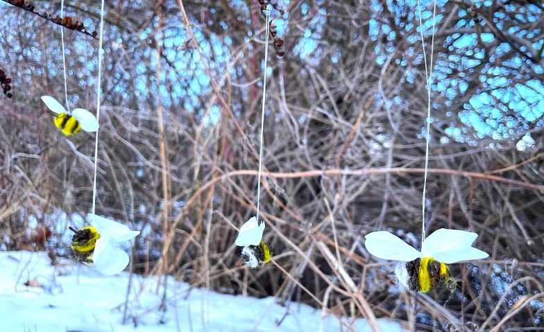 Event-Image for 'Summende Fr&uuml;hlingsboten aus Erlen-Zapfen'