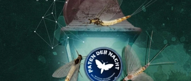 Event-Image for 'Licht aus. Vielfalt an!'