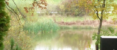 Event-Image for 'Meditativer Spaziergang über den Hofer Friedhof'