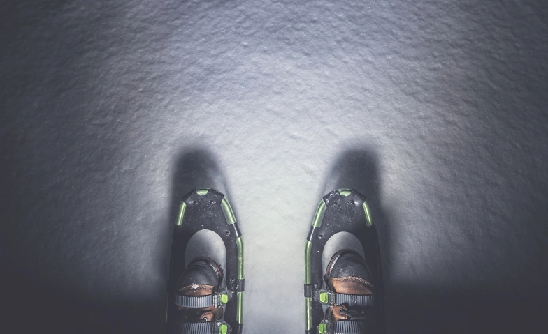 Vollmond-Schneeschuh-Tour Tickets