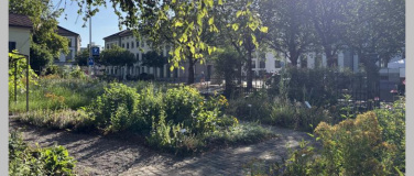 Event-Image for 'Vom Gartenbeet aufs Zvieribrot'