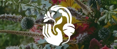 Event-Image for 'von Hand Hofcafe und Gemüse/Blumen Verkauf'