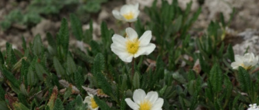 Event-Image for 'Vortrag: Fotoreise durch arktische und alpine Ökosysteme'