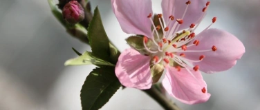 Event-Image for 'YOGA & NATUR Workshop'