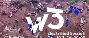 Event-Image for 'W3 - Electrified Session #11'