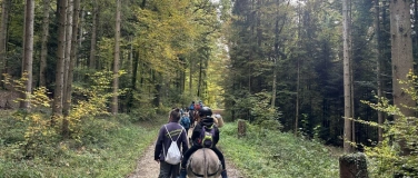 Event-Image for 'Tierischer Waldspaziergang'
