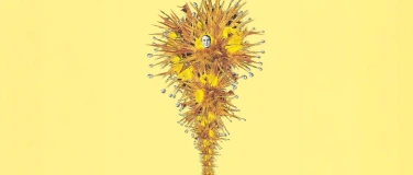 Event-Image for 'Walid Raad: Like a rubber rung on a ladder'