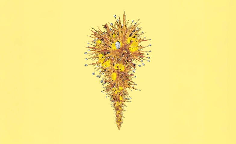 Event-Image for 'Walid Raad: Like a rubber rung on a ladder'